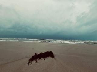 Cozy Cottage near Blokhus - By Traum Ferienwohnungen - 7