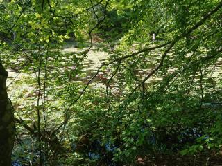 5 star holiday home in Løkken - 1