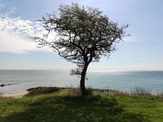 6 person holiday home in Juelsminde-By Traum - 6