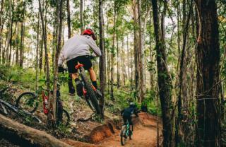 Leo's Beach Hideaway - Stylish Tiny Home - 7