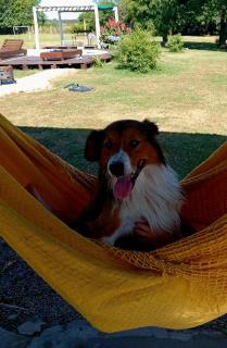 Quinta La Soñada - 2