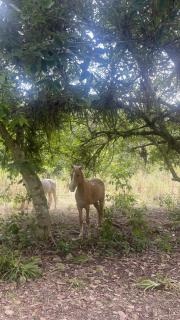 Casa Manglar Ruta spondylus - 3