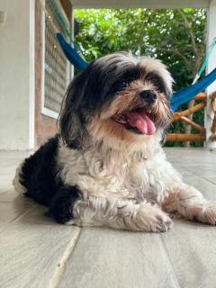 Casa Manglar Ruta spondylus - 5