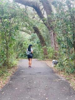 Casa Manglar Ruta spondylus - 8