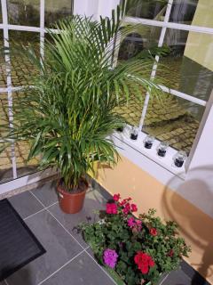 Casa do Vale Encantado - 4