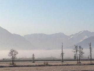 Holiday apartment with 1 bedroom - 4