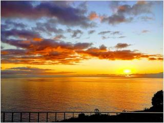 Quinta Golfinho - Villa Palmeira - 1