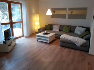 Holiday home in Hornberg with swimming pool - 3