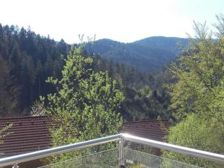 Holiday home in Hornberg with swimming pool - 4