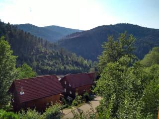 Holiday home in Hornberg with swimming pool - 9