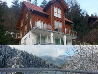 Holiday home in Hornberg with swimming pool - 0
