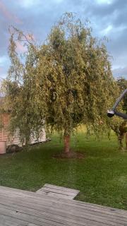 Hospedaje en Paine - 3