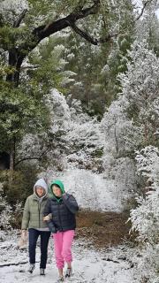 Pikikirunga House, Takaka Hill - 8
