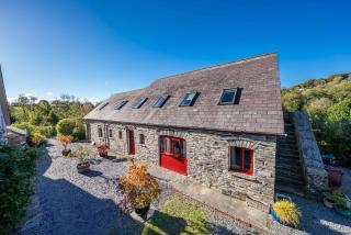 Clematis-Y-Ffynnon - 0