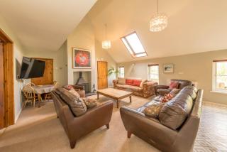 Clematis-Y-Ffynnon - 5