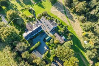 Clematis-Y-Ffynnon - 2