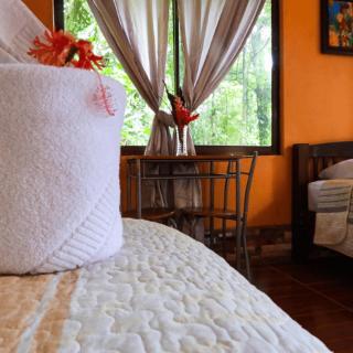 Finca Verde Lodge - 4