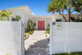 Pink Salt Casuarina - 0