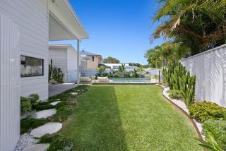 Pink Salt Casuarina - 6