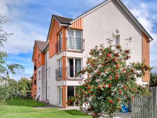Mont Blanc Apartment - Aviemore - 0