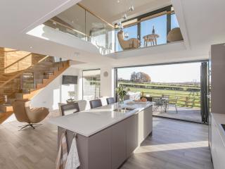 The Lookout - Ukc3846 - 6