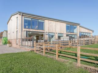 The Lookout - Ukc3846 - 0