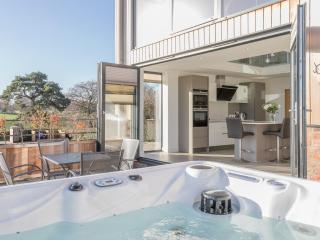 The Lookout - Ukc3846 - 7