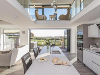 The Lookout - Ukc3846 - 3