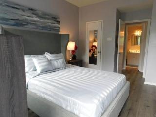 1BD Apt DFW South Irving I30 - 1