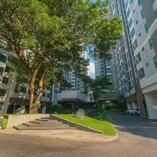 The Base酒店民宿预订 市中心 游泳池 健身房 海滩 度假屋 A-9F - 9