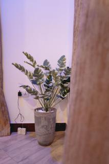 FREEDOM homes -  - 2