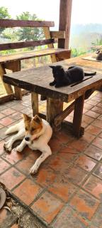 The Lookout Pai - Mountain View Hideaway - 4