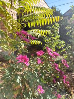 O'clock Guest House - Bischkek - 7