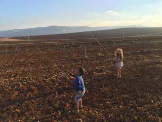 הבית במושב - 0