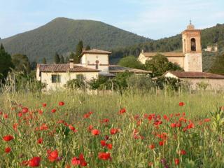 La Palombaia - Spoleto - 0