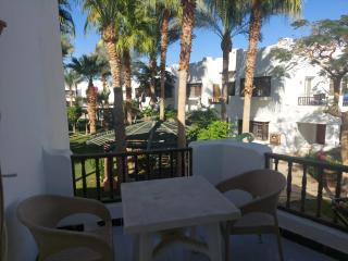 Cairo, Nasr City - 4