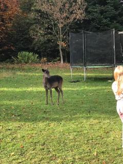 Apartamenty u Jakubika - 7