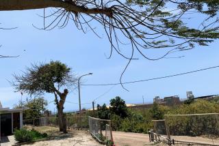 ESTANCIA don VICTOR -  - 6