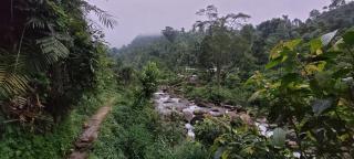 Rongo Orange Valley Camp&Cottages - 0