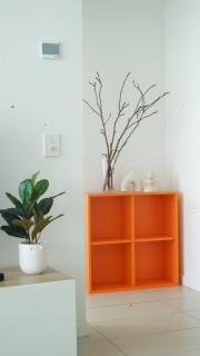 Spacious City Escape with Pool, Gym Free Parking - 8