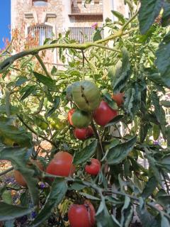 Oclock Guest House - Bischkek - 1