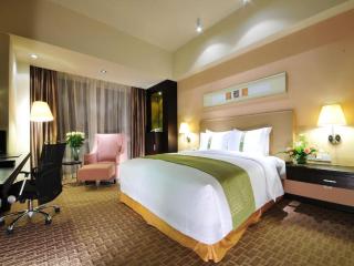 Holiday Inn Xi'an Greenland Century City By IHG - 5