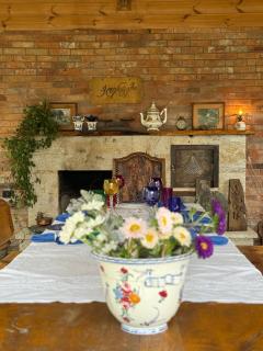 Sisters zhgenti plantacia - 8