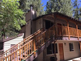 Goldmine Lodge - Big Bear Lake - 4