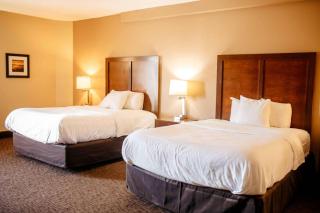 Country Inn & Suites by Radisson, Battle Creek, MI - Battle Creek - 7
