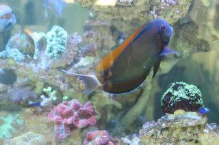 Glacier Hotel Khon Kaen - 1