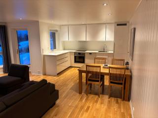 Arctic View Apartment - Country Retreat near Tromso - 2