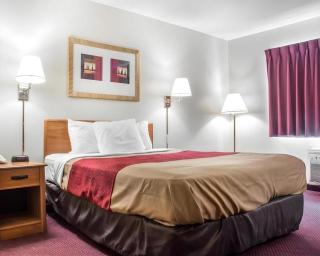 Econo Lodge Ithaca Airport - 7