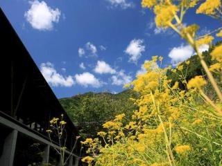 Auberge Tosayama - 9