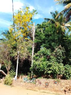 Ella Nature Park Hostel - 4